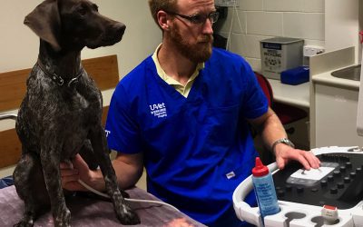 This month we feature research from Robert Turner of Werribee node